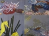 Marina / 4 tablouri a 50 x 40 cm fiecare / pictura pe lemn si sticla sintetica cu culori vitraliu / 2013;